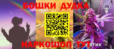 сатива Лесосибирск
