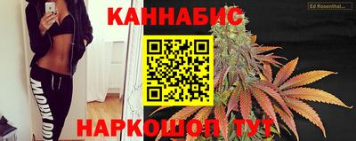сатива Лесосибирск