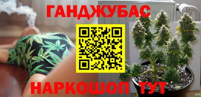 сатива Лесосибирск