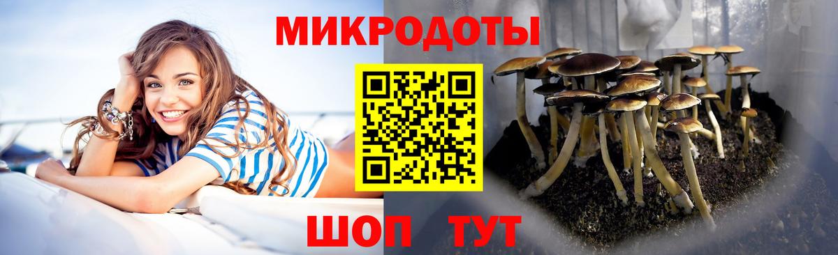 Галлюциногенные грибы Cubensis  Вход с VPN  Фролово 